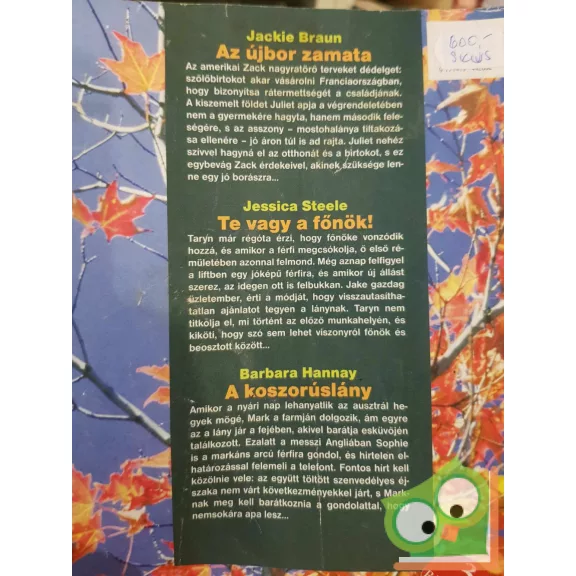 Romana különszám 2010/41