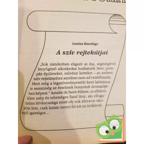 Louisa Rawlings: A szív rejtekútjai (Romana Széphistória 1994/5)