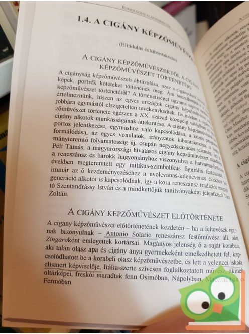 Várnagy Elemér (szerk.): Romológiai alapismeretek