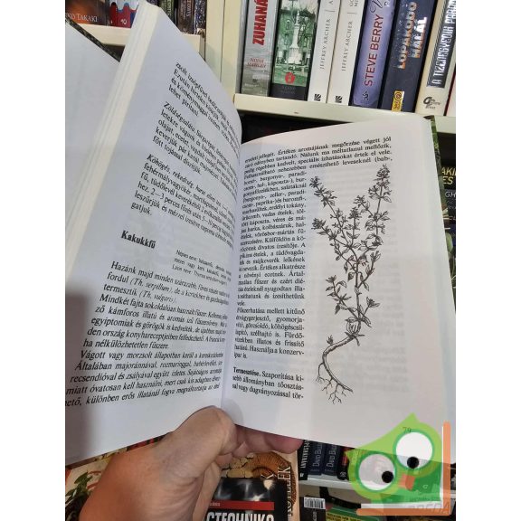 Romváry Vilmos: Fűszerek könyve