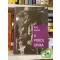 Rott József: A pokol orma