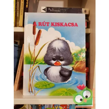 Hans Christian Andersen: A rút kiskacsa