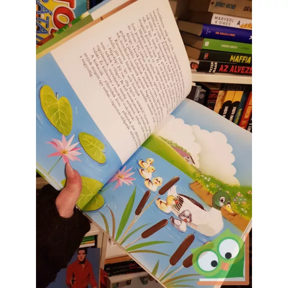 Hans Christian Andersen: A rút kiskacsa