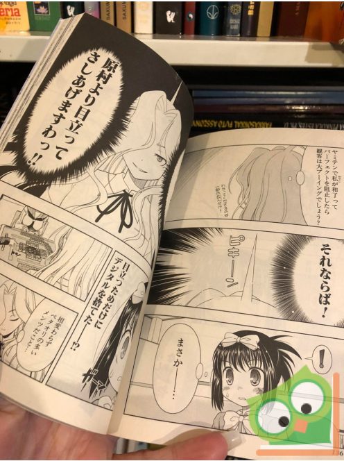 Kobajasi Ricu: Saki Vol. 4. (japán nyelvű manga)