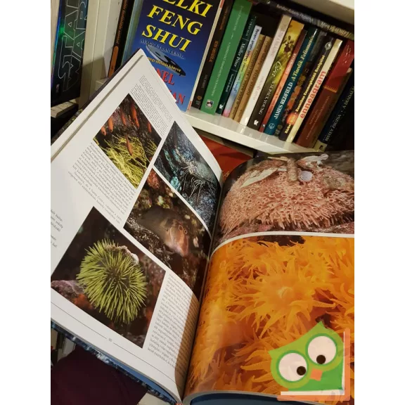 Peter Salwen: Galápagos