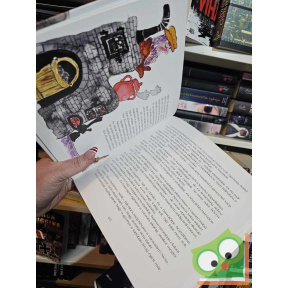 Mikes Lajos: Sanyi manó könyve (újszerű)