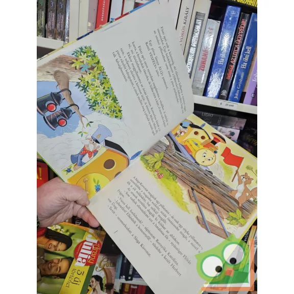 Hayden McAllister: A sárga kisvonat (Ritka)