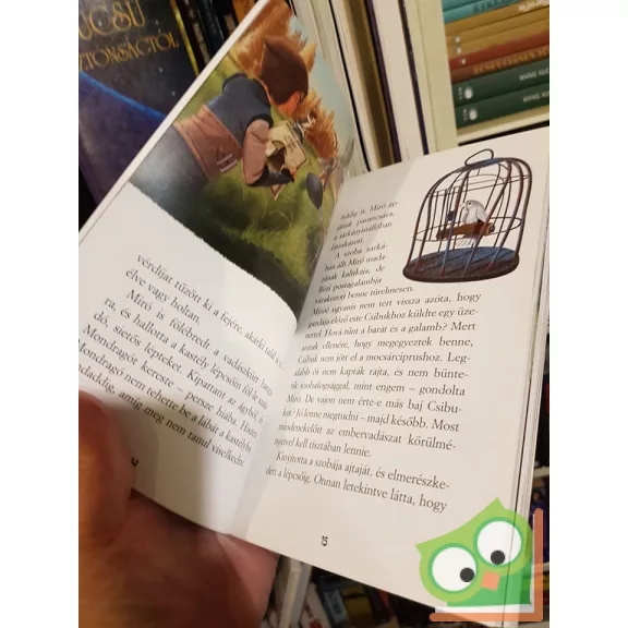 Ana Galán: A sárkányfa (Mondragó 7.) (Ritka)