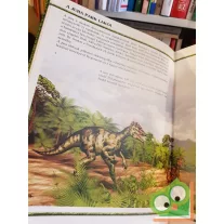 Kordos László: Sárkánygyíkok