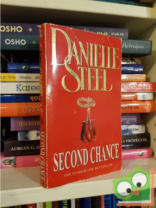 Danielle Steel: Second Chance