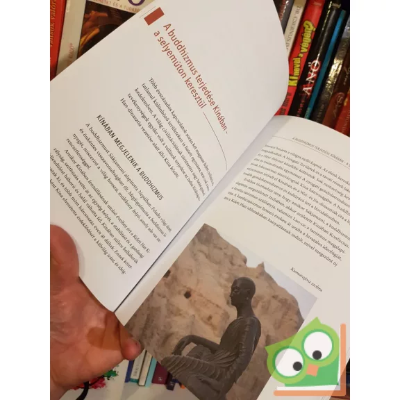 Wang Xuejun (szerk.): A selyemút története