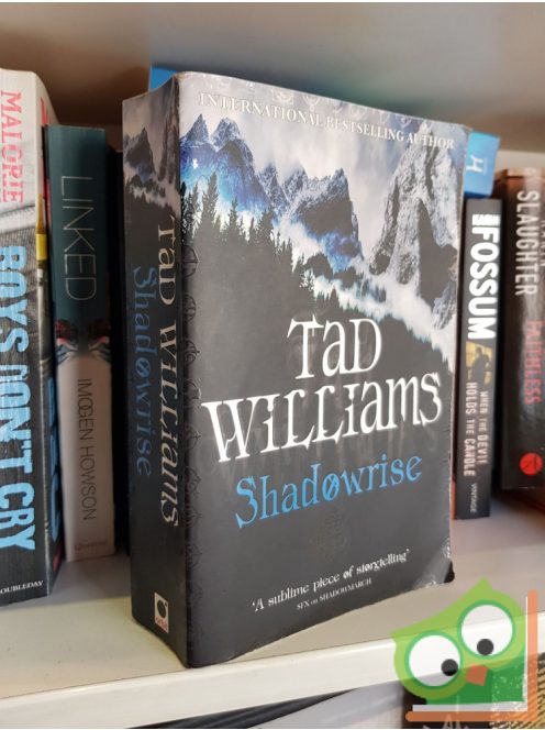 Tad Williams: Shadowrise