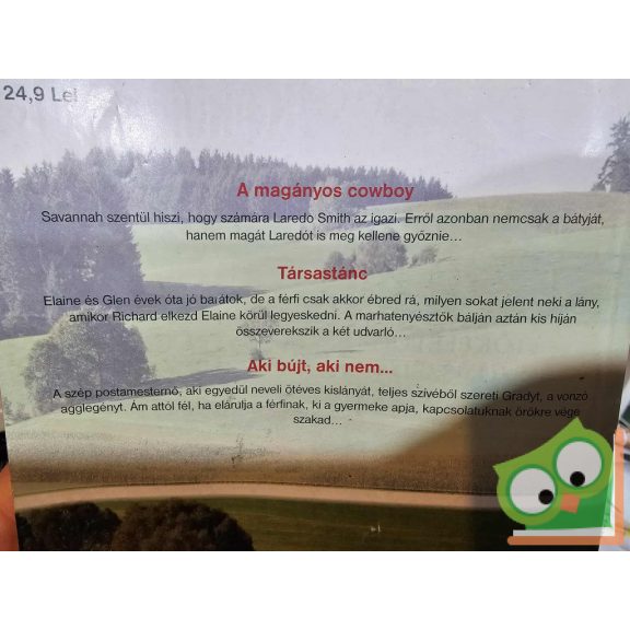 Sikerszerzők legszebb történetei 3. - Debbie Macomber: Texasi fiúk