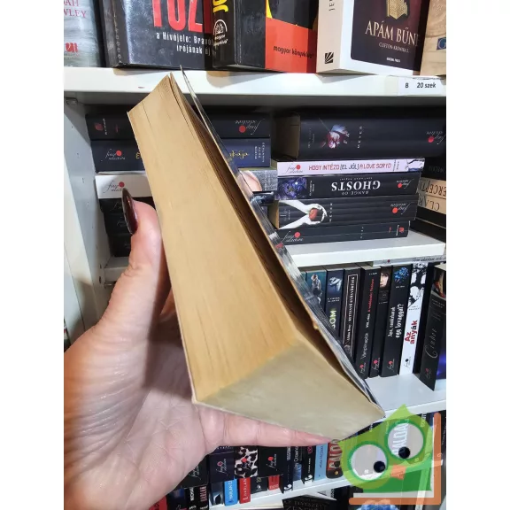 Daniel Silva: A gyóntató (Gabriel Allon 3.) (nagyon ritka)