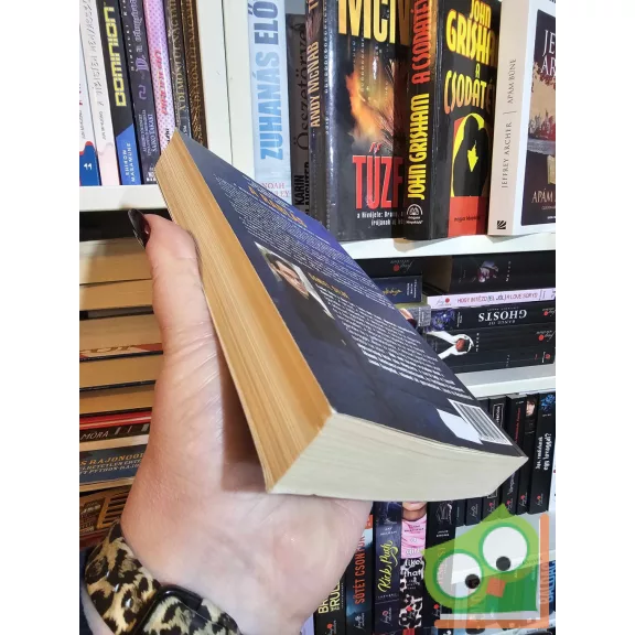 Daniel Silva: A rablás (Gabriel Allon 14.) (ritka)