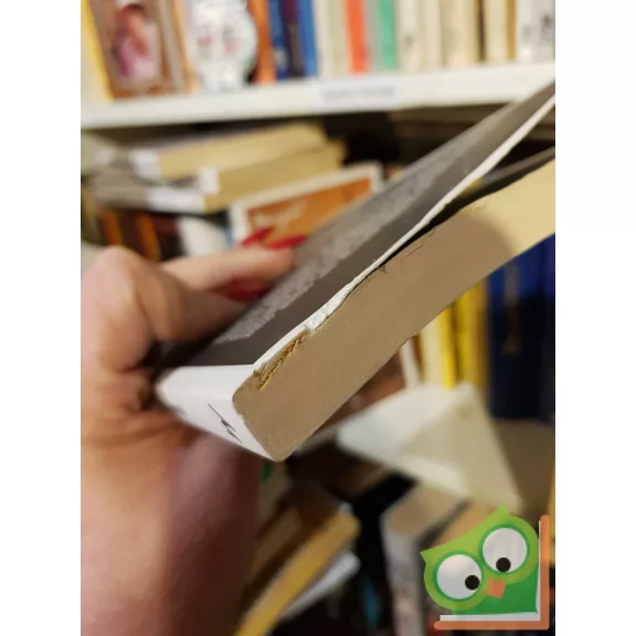 Georges Simenon: Maigret csapdát állít (Maigret)