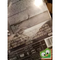 Sky kapitány és a holnap világa (DVD)