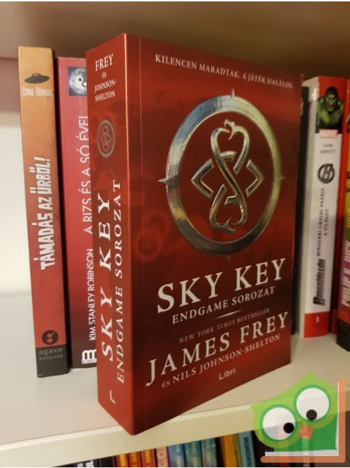James Frey,  Nils Johnson Shelton: Sky Key
