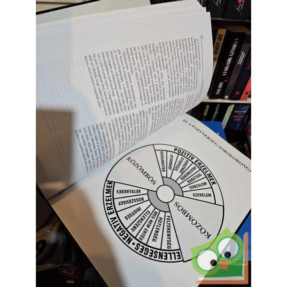 Y. W. Godgaven: Nagy sorskönyv harmadik rész - sorshatározó égitestek kockák (ritka)