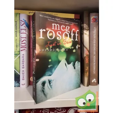Meg Rosoff: Just in Case - Sorsbújócska