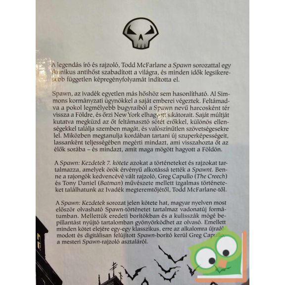 Todd McFarlane: Spawn: Kezdetek 7. (Spawn 7.) (képregény)