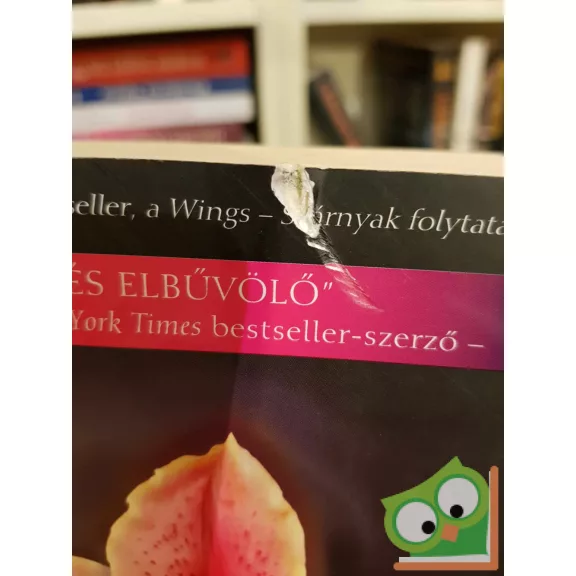 Aprilynne Pike: Spells - Varázsigék (Wings 2.) (Vörös pöttyös könyvek, Fine Selection)