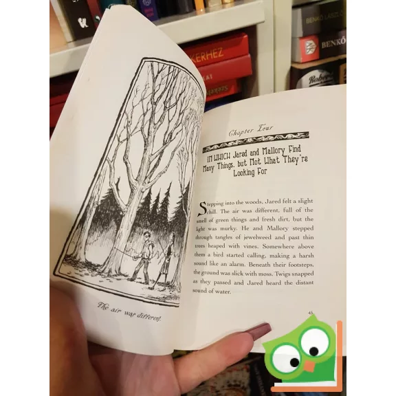 Holly Black, Tony DiTerlizzi: The Seeing Stone (The Spiderwick Chronicles 2. )