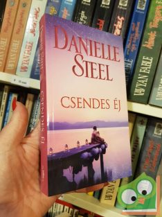 Danielle Steel: Csendes éj (ritka)