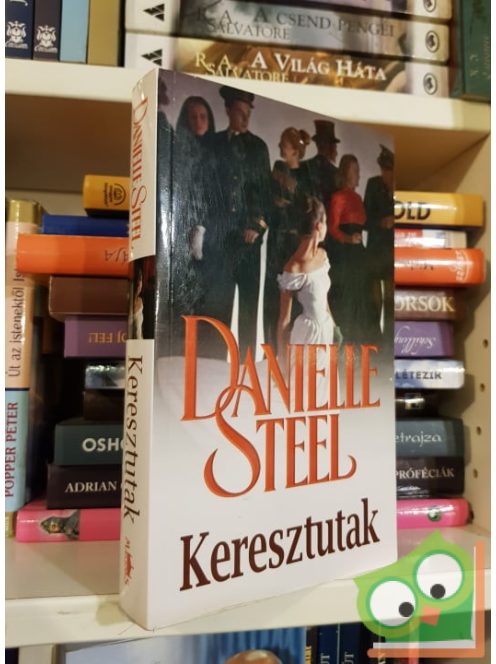 Danielle Steel: Keresztutak