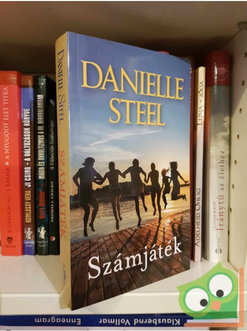 Danielle Steel: Számjáték (ritka)