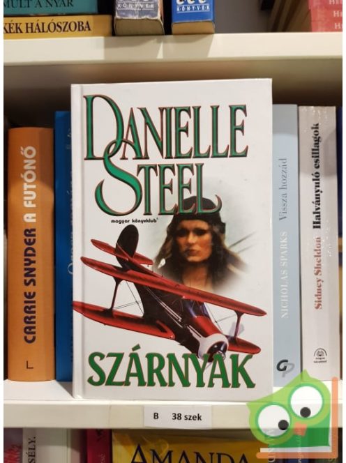 Danielle Steel: Szárnyak