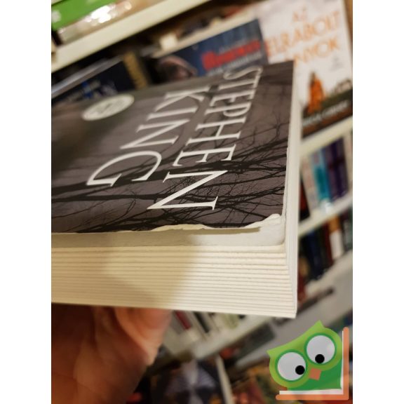Stephen King: A kívülálló