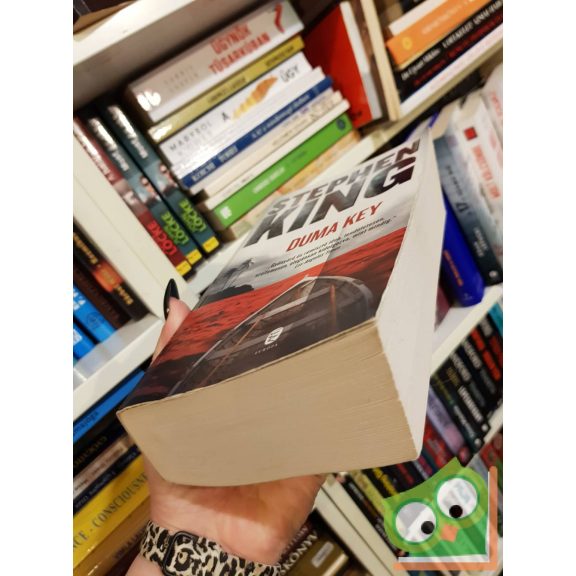 Stephen King: Duma Key (ritka kiadás, a gerince ép )