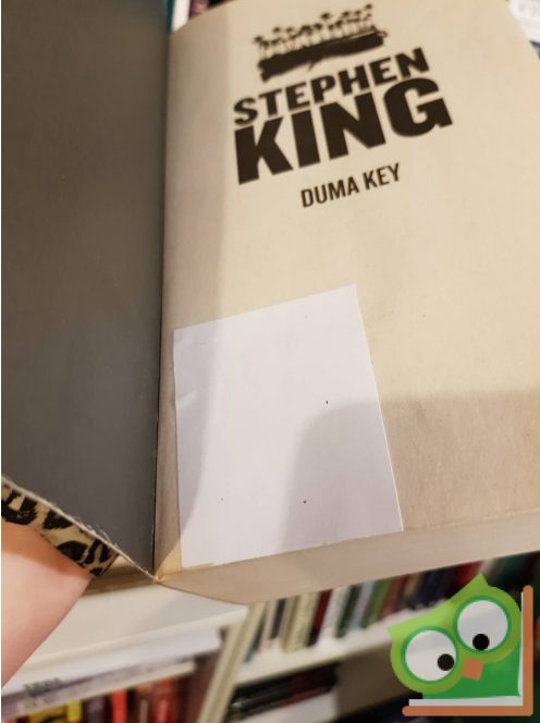 Stephen King: Duma Key (ritka kiadás, a gerince ép )