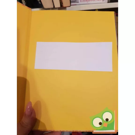 Robert Louis Stevenson: A kincses sziget (Világhíres mesék)