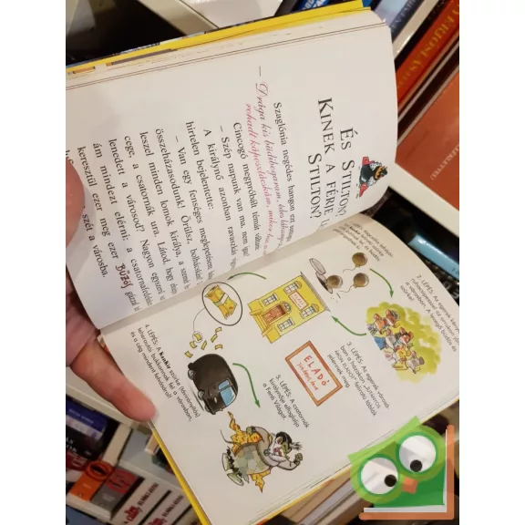 Geronimo Stilton: A kanális királynőjének különös esete (Geronimo Stilton 40.)