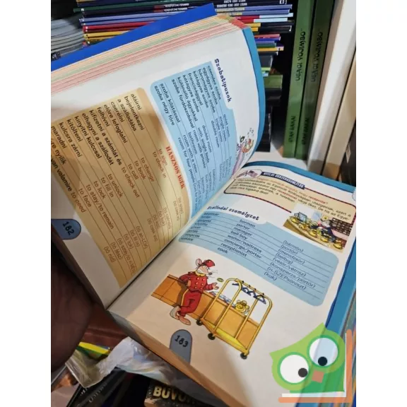 Geronimo Stilton: Boldogulj angolul (Geronimo Stilton - Különleges kiadások)  (Ritka!)