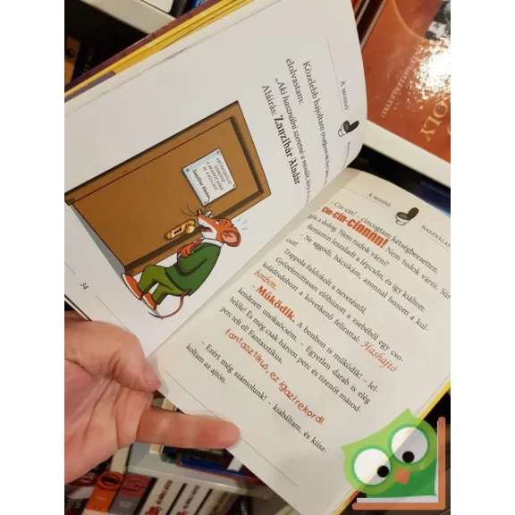 Geronimo Stilton: Isten hozott a Fukar erődben! (Geronimo Stilton 18.)