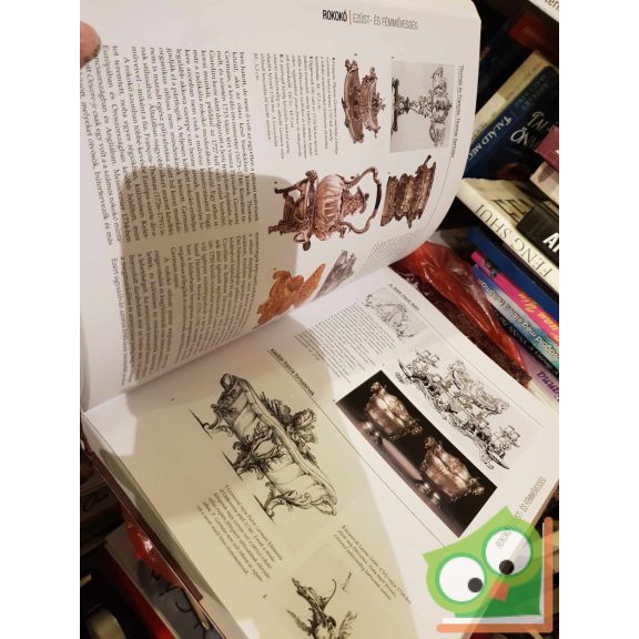 Noel Riley (szerk.) - Patricia Bayer (szerk.): Stílusok és formák (ritka)