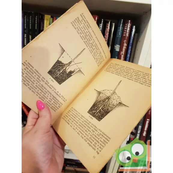 Bakkay László: Suháng és sorfa nevelése - akác és nyár (ritka) (kis füzet)