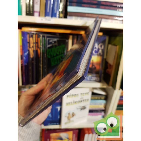 Walt Disney klasszikus mesék - Susi és Tekergő