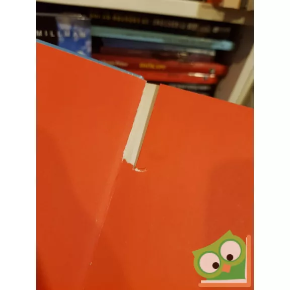 Csukás István: Süsü, a sárkány