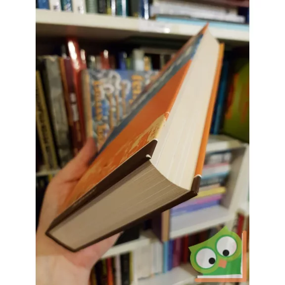 Michael Palin: Szahara (Veszélyes övezet) (Ritka)