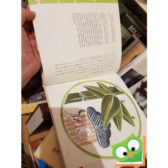 Tóth-Vásárhelyi Réka: A csodálatos fababa meséje