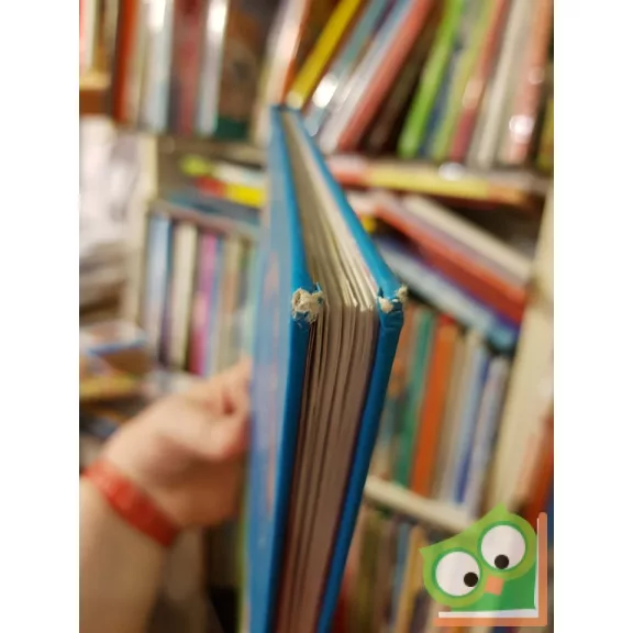 Gazdag Erzsi: Száll a sárkány  (Ritka!)