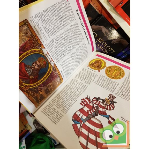 Katona Imre József (szerk.): Száz rejtély a magyar történelemből