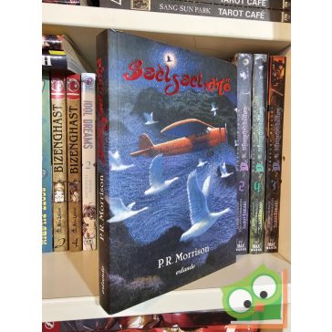 P. R. Morrison: Szélszelidítő