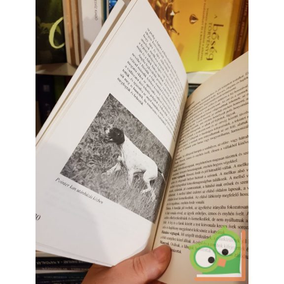 Reinhold Rothweiler, Herfried Steidl: Szetter és pointer