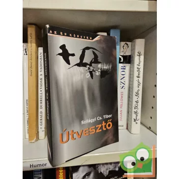 Szilágyi Cs. Tibor: Útvesztő