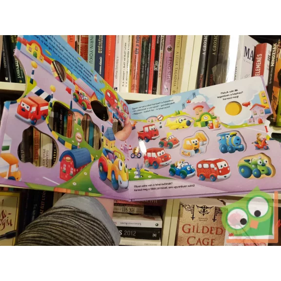 Színpompás futam (új könyv)